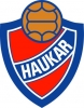 Haukar