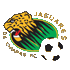 Jaguares