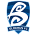 Blokhus FC