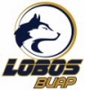 Lobos de la BUAP