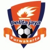 Pelita Jaya