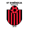 Shkendija 79