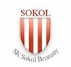 Sokol Brozany